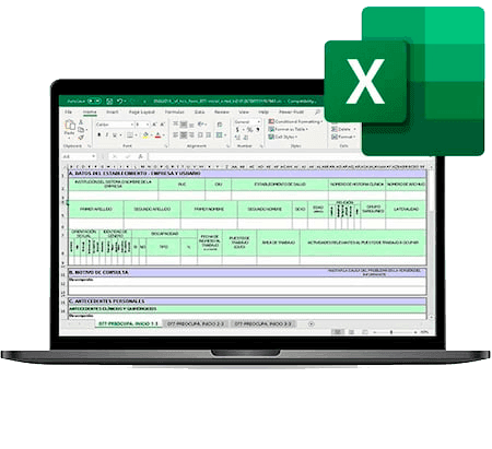 Ficha ocupacional del MSP